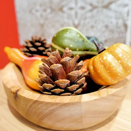 Apartment Nid Normand Building 1620 - 4 Bedrooms - Hyper Center *