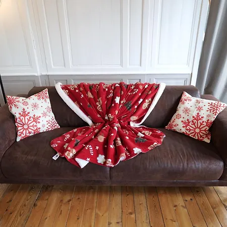 Apartment Nid Normand Building 1620 - 4 Bedrooms - Hyper Center *